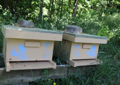 Artificial bee hives