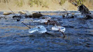 Water in a river with ice caught on sticks