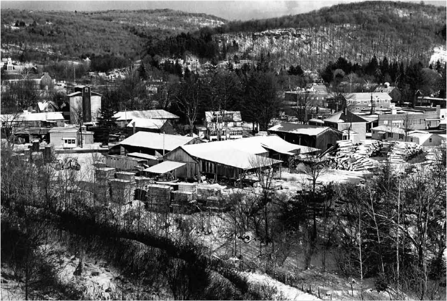 Winter view of Livingston Manor, nestled in the valley formed by the confluence of the Cattail, Little Beaverkill, and Willowemoc Creeks. The Vitale Lumber Mill is in the foreground, and the two silos used to store coal, delivered by rail from Pennsylvania, are visible to the left of center. Main Street is visible above the mill.